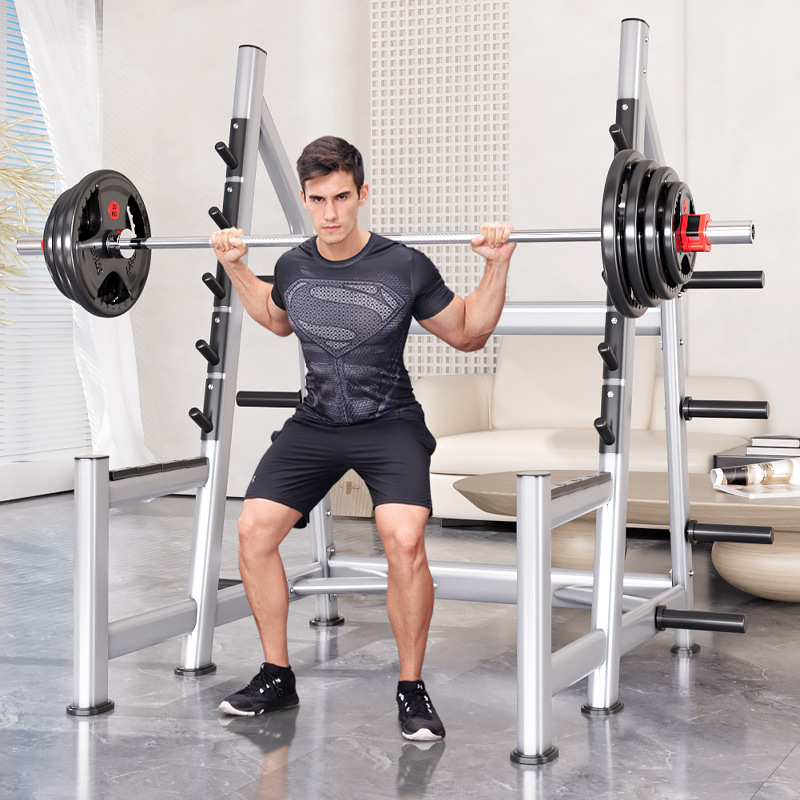 Squat Rack Power Cage, Plate L - đánh giá và giá Heavy Equipment Training