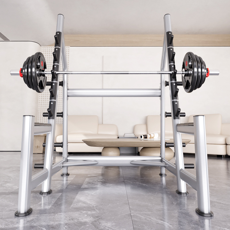 Squat Rack Power Cage, Plate L - đánh giá và giá Heavy Equipment Training