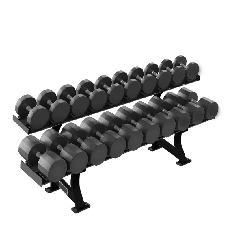 2-Tier 10 Pairs Dumbbell Stora - đánh giá và giá Heavy Equipment Training