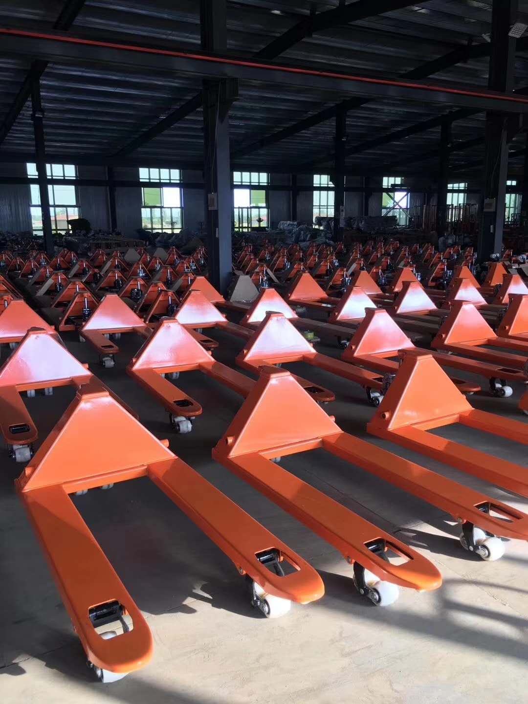 Hydraulic Manual Forklift Hand - đánh giá và giá Hand Pallet Truck